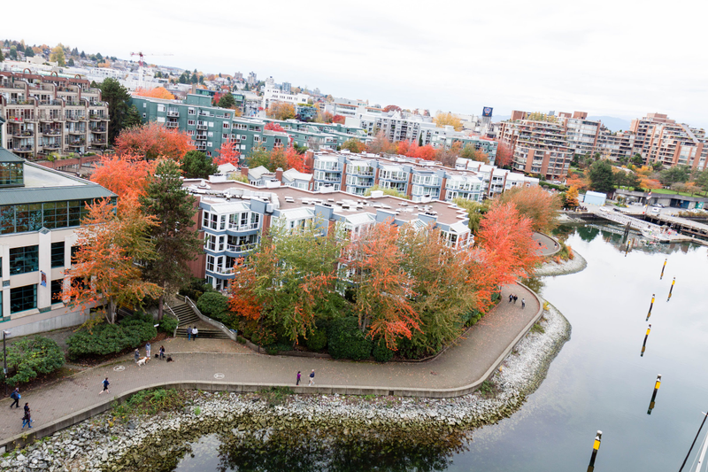 Illustration for article titled Pics from the (Bridge)side: 2016-10-23 Over Granville Street Bridge